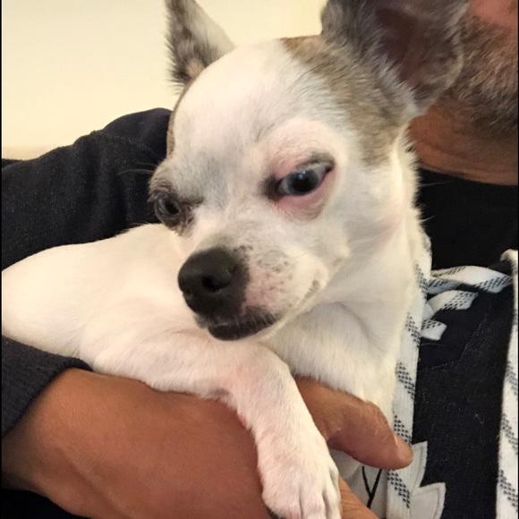 Meet your Posher, Marc - Picture 1 of 1